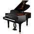 F170 Walkyrie Black Pleyel