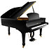 F190 Walkyrie Black Pleyel