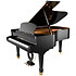 F190 Walkyrie Black Pleyel