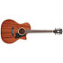 Excel Gramercy Natural Mahogany D'Angelico