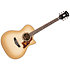 Excel Gramercy Aged Sepia Burst D'Angelico