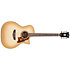 Excel Gramercy Aged Sepia Burst D'Angelico