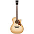 Excel Gramercy Aged Sepia Burst D'Angelico