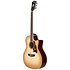 Excel Gramercy Aged Sepia Burst D'Angelico