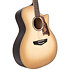 Excel Gramercy Aged Sepia Burst D'Angelico