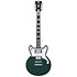 Premier Brighton Sherwood Green D'Angelico