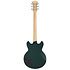Premier Brighton Sherwood Green D'Angelico