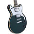 Premier Brighton Sherwood Green D'Angelico