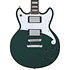 Premier Brighton Sherwood Green D'Angelico