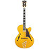 Excel 16 Amber D'Angelico