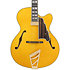 Excel 16 Amber D'Angelico
