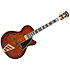 Excel 16 Amaretto Burst D'Angelico