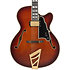 Excel 16 Amaretto Burst D'Angelico