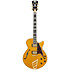 Excel SS Amber D'Angelico