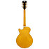 Excel SS Amber D'Angelico