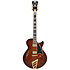 Excel SS Amaretto Burst D'Angelico