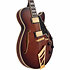 Excel SS Amaretto Burst D'Angelico