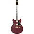 Deluxe DC Satin Trans Wine D'Angelico