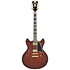 Deluxe DC Satin Brown Burst D'Angelico