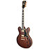 Deluxe DC Satin Brown Burst D'Angelico