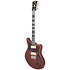 Deluxe Bedford Matte Walnut D'Angelico