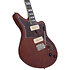 Deluxe Bedford Matte Walnut D'Angelico