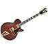 Deluxe SS Satin Brown Burst D'Angelico