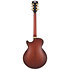 Deluxe SS Satin Brown Burst D'Angelico