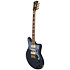 Deluxe Bob Weir Signature D'Angelico