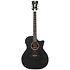 Premier Gramercy LS Matte Black D'Angelico