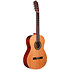 Pack N100 4/4 + Housse + Pupitre + Repose-pied + Accordeur Altamira