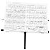 Pack N100 4/4 + Housse + Pupitre + Repose-pied + Accordeur Altamira