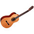 Pack N100 4/4 + Housse + Pupitre + Repose-pied + Accordeur Altamira