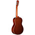 Pack N100 4/4 + Housse + Pupitre + Repose-pied + Accordeur Altamira