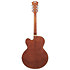 Premier EXL-1 Brown Burst D'Angelico