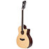 Premier Fulton LS Satin Natural 12 cordes D'Angelico