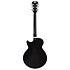 Premier SS Black Flake D'Angelico