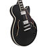 Premier SS Black Flake D'Angelico