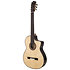 Almeria Ziricote + Housse Martinez