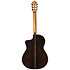Almeria Ziricote + Housse Martinez