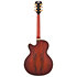 Deluxe 59 Satin Brown Burst D'Angelico
