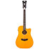 Premier Bowery 12 LS Satin Vintage Natural D'Angelico