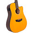 Premier Bowery 12 LS Satin Vintage Natural D'Angelico