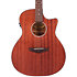 Premier Gramercy LS Satin Natural D'Angelico