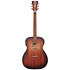 Premier Tammany LS Satin Vintage Sunburst D'Angelico