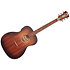 Premier Lexington LS Aged Mahogany D'Angelico