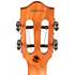 Iris Tinta Concert Natural + Housse Flight