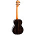 Iris Tinta Concert Transparent Black + Housse Flight