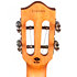Iris Tinta Concert Transparent Black + Housse Flight