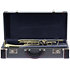900 Eterna Classic + Etui Getzen